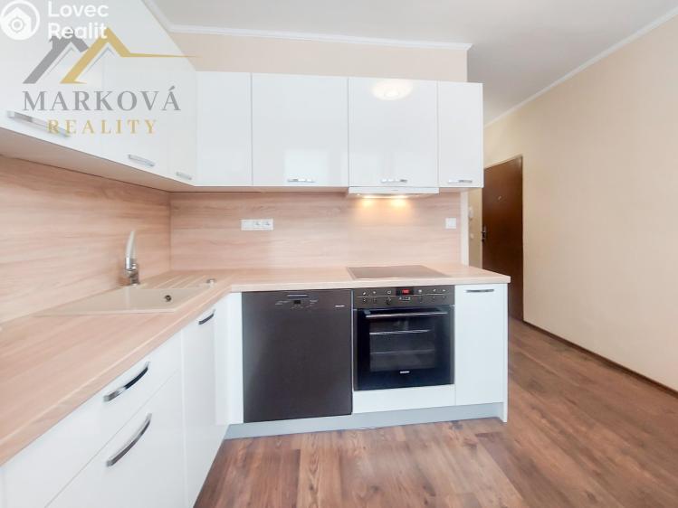 Оренда квартири 2+1 České Budějovice, Plzeňská 579/15 č. 2