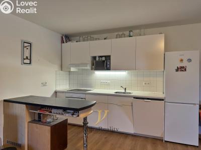 Аренда квартиры 1+KK Olomouc, Černá cesta č. 2