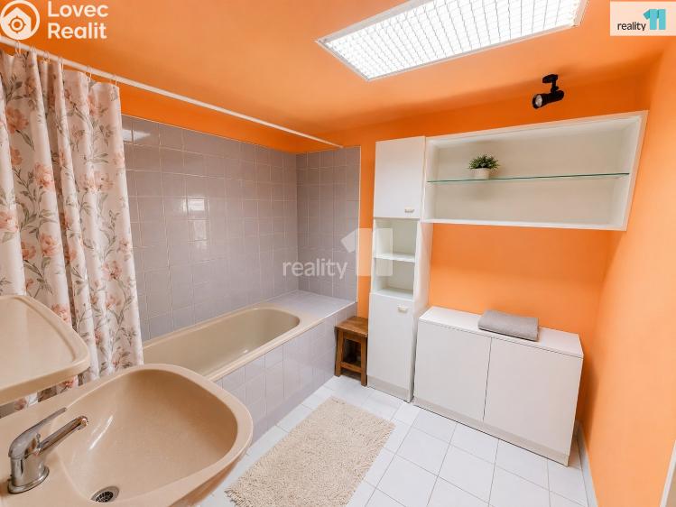 Rent hut Měchenice, Hlavní 191 č. 11