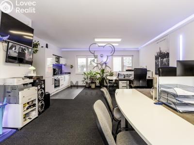 Продажа семейного дома České Budějovice, O. Nedbala č. 7
