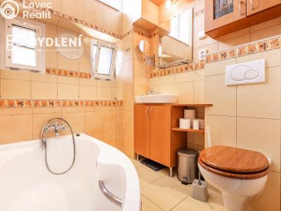 Sale apartment 3+1 Ústí nad Labem, Elišky Krásnohorské č. 15