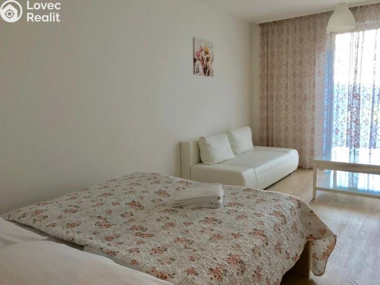 Rent apartment 1+KK Praha, Olšanská č. 1