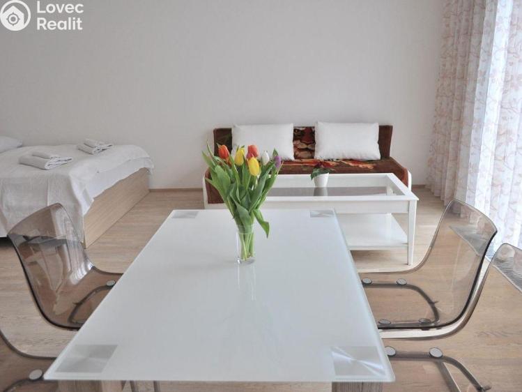 Rent apartment 1+KK Praha, Olšanská č. 4