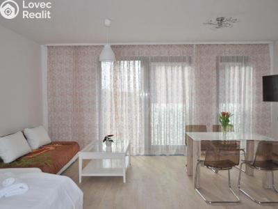 Оренда квартири 1+KK Praha, Olšanská č. 5
