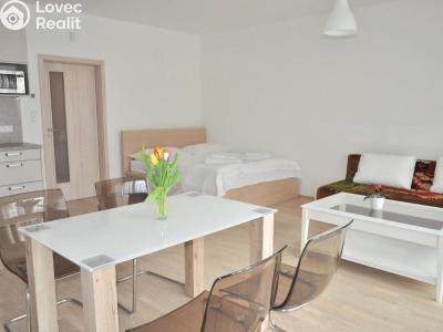 Оренда квартири 1+KK Praha, Olšanská č. 6