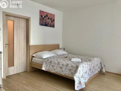 Оренда квартири 1+KK Praha, Olšanská č. 9