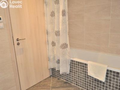 Оренда квартири 1+KK Praha, Olšanská č. 10