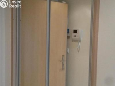 Оренда квартири 1+KK Praha, Olšanská č. 11