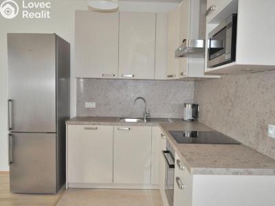 Оренда квартири 1+KK Praha, Olšanská č. 15