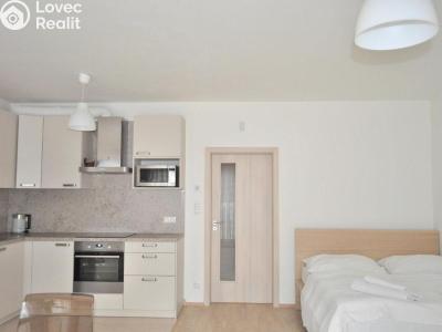 Оренда квартири 1+KK Praha, Olšanská č. 17