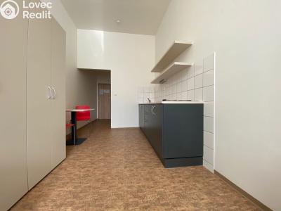 Rent apartment 1+KK Praha, Křížová č. 3