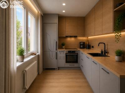 Продаж квартири 2+1 Praha, Práčská č. 1