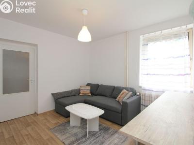 Аренда квартиры 2+1 Pardubice, Stavařov 91 č. 6