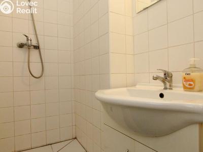 Аренда квартиры 2+1 Pardubice, Stavařov 91 č. 10
