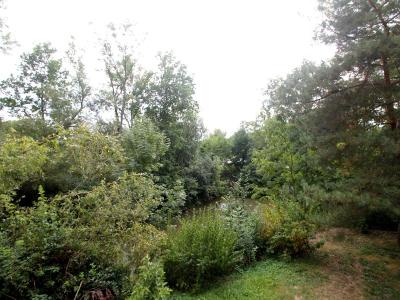 Аренда квартиры 2+1 Pardubice, Stavařov 91 č. 15