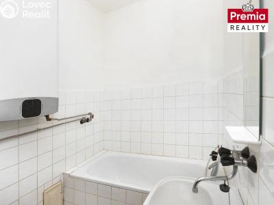 Pronájem bytu 1+1 Znojmo, Vrchlického č. 11