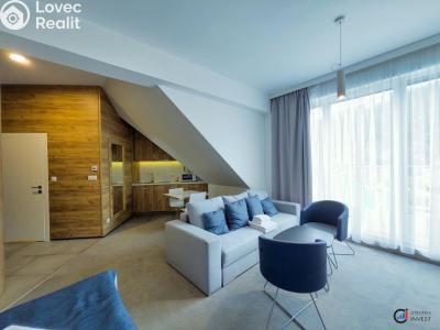 Prodej apartmánů Dolní Morava č. 3