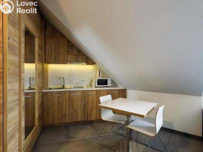 Prodej apartmánů Dolní Morava č. 4