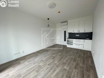 Rent apartment 1+KK Praha, K Barrandovu č. 4