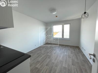 Rent apartment 1+KK Praha, K Barrandovu č. 1