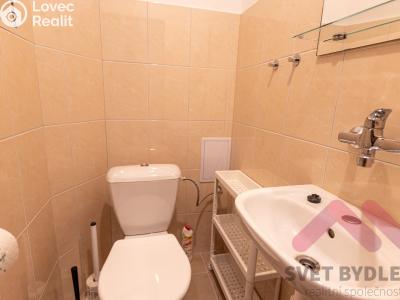 Rent apartment 1+KK Praha, Tolstého č. 7