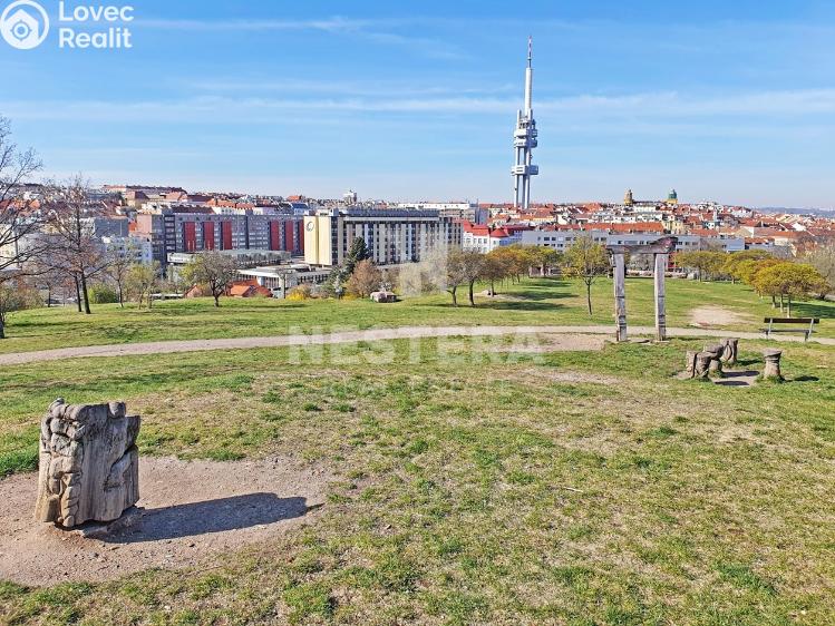 Prodej bytu 2+1 Praha, Jičínská 1616/29 č. 12