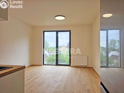 Аренда квартиры 1+KK Praha, Střížkovská č. 1