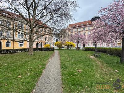 Аренда квартиры 2+1 Pardubice, U Kostelíčka č. 7