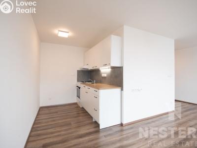 Rent apartment 1+KK Praha, Točitá č. 1