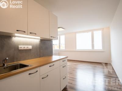 Rent apartment 1+KK Praha, Točitá č. 3
