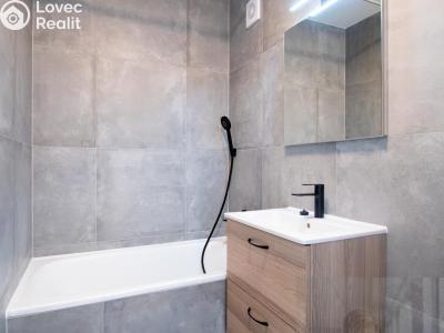 Rent apartment 1+KK Praha, Točitá č. 4