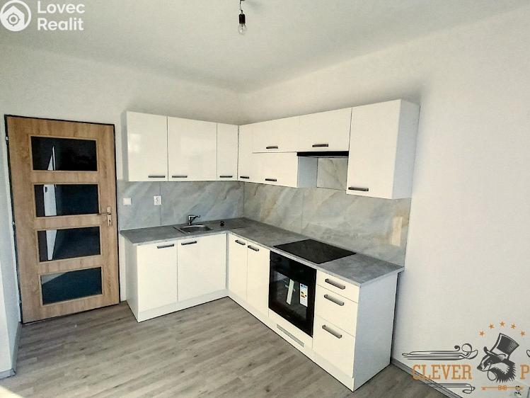 Rent apartment 1+1 Heřmanův Městec, Heřmanského č. 1