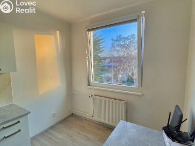 Rent apartment 1+1 Heřmanův Městec, Heřmanského č. 2
