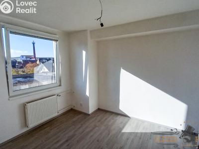 Rent apartment 1+1 Heřmanův Městec, Heřmanského č. 3
