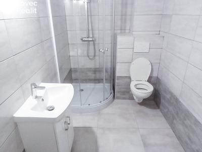 Rent apartment 1+1 Heřmanův Městec, Heřmanského č. 5