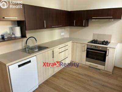 Оренда квартири 2+1 Teplice, Křičkova č. 8