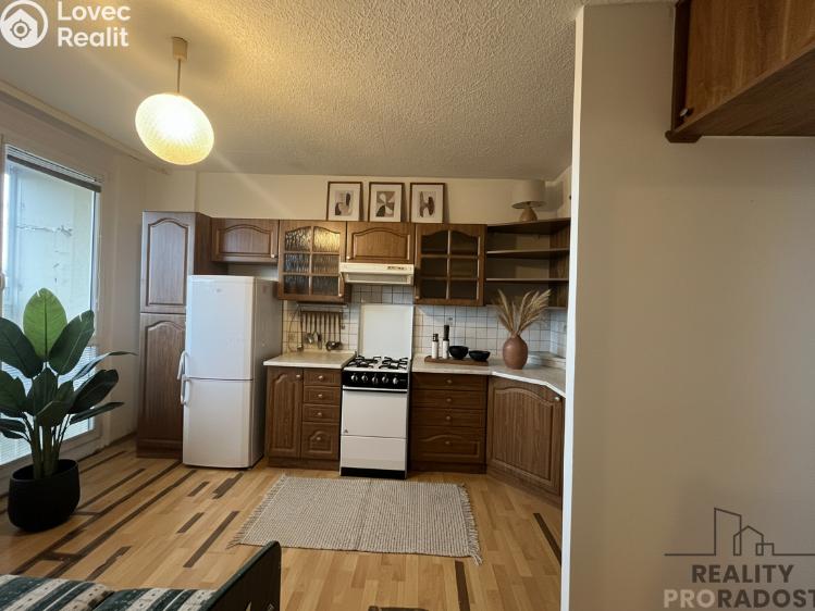 Оренда квартири 1+1 Duchcov, Vrchlického č. 1