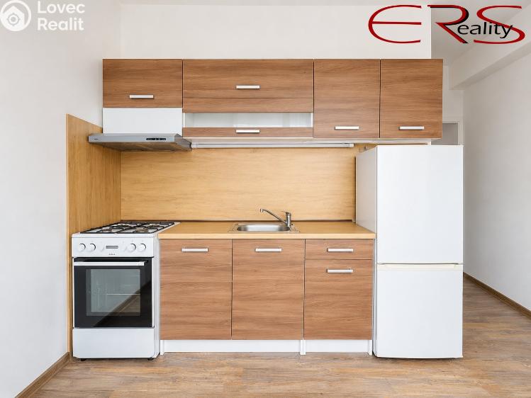 Rent apartment 1+1 Liberec, Nad Školou č. 1