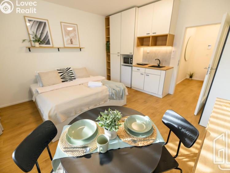 Rent apartment 1+KK Brno, Cejl č. 1