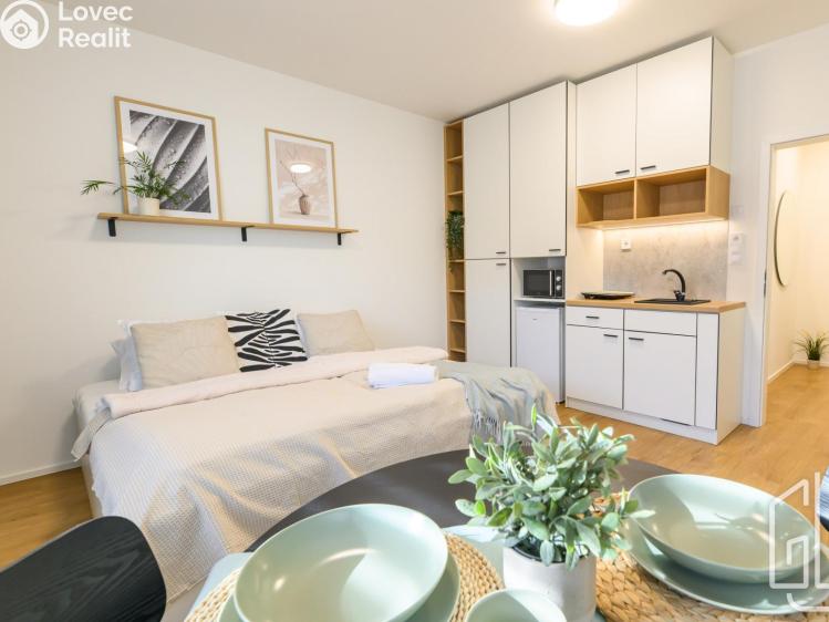 Rent apartment 1+KK Brno, Cejl č. 2