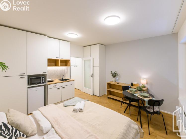 Rent apartment 1+KK Brno, Cejl č. 3