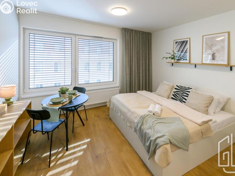 Rent apartment 1+KK Brno, Cejl č. 4