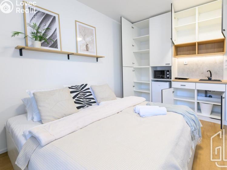 Rent apartment 1+KK Brno, Cejl č. 5