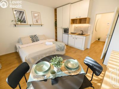 Оренда квартири 1+KK Brno, Cejl č. 1