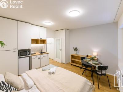 Оренда квартири 1+KK Brno, Cejl č. 3