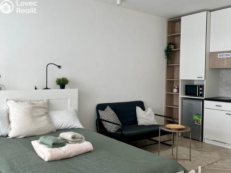 Rent apartment 1+KK Brno, Cejl č. 1
