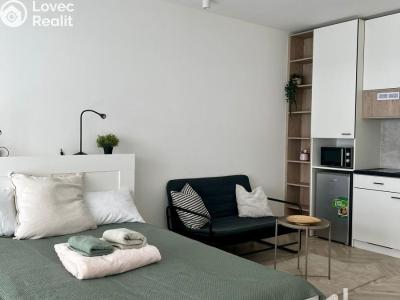 Оренда квартири 1+KK Brno, Cejl č. 1