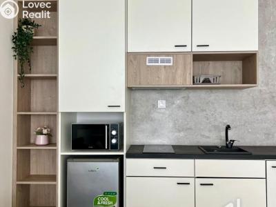 Оренда квартири 1+KK Brno, Cejl č. 6