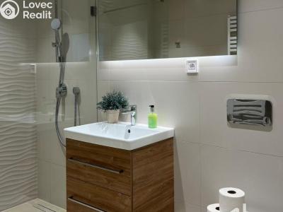 Оренда квартири 1+KK Brno, Cejl č. 7