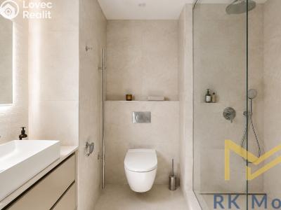 Аренда квартиры 3+KK Praha č. 3